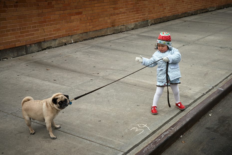 Stubborn or Curious Photo by Vidar Nordli-Mathisen