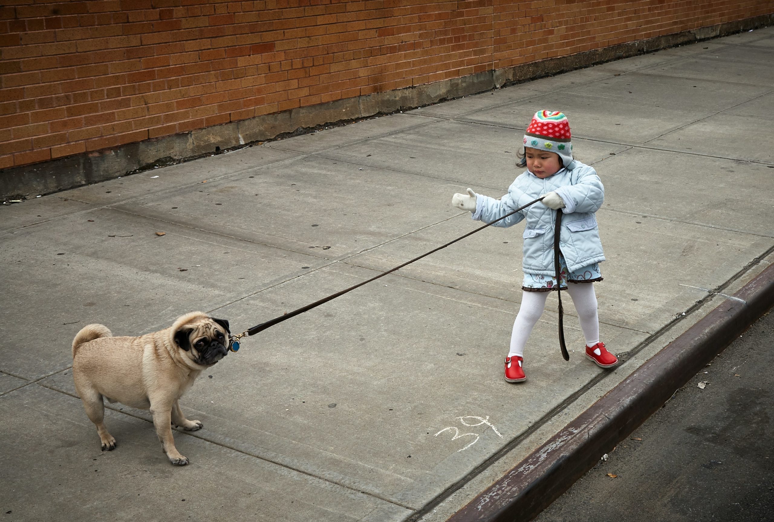 Stubborn or Curious Photo by Vidar Nordli-Mathisen